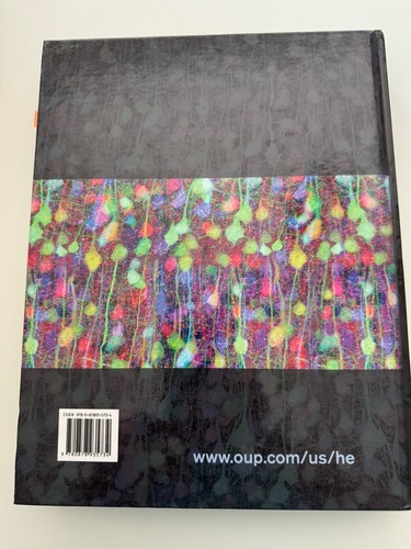 Psychologie Bücher: Cognitive Neuroscience, Abnormal Psychology, Psychology - Bild 9 von 9
