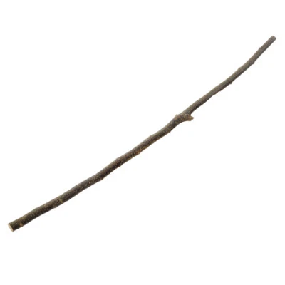 HAPPYBIRD Sitzstange für Vögel Voliere, Käfig Zubehör Haselnusssitzstange 1m ca. 20mm ? S