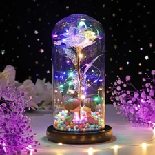Eternal Forever Galaxy Rose Flower In Glass Dome LED Light Valentine's Day Gift