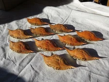 10 Blue Crab Shells for Crafts, Cooking, Dried and Ready Paint