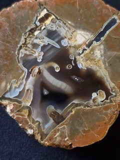 AGATE ou lithophyse fossile minéralogie