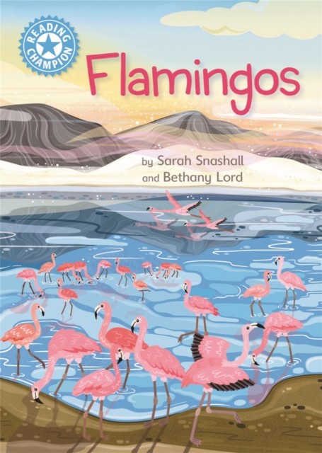 Reading Champion Flamingoes