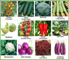 Gemüsesamen  12 Sorten Saatgut Broccoli Gurken Aubergine Zucchi Paprika ...