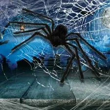 6PACK Halloween Decor Spider Haunted House Giant Scary Party Prop Outdoor Indoor