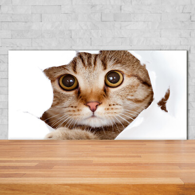 Planche à Découper Verre Tulup 60x52 Cm – Motif Chat Rouge – Moderne