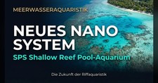 Nano SPS Shallow Reef Pool Meerwasser-Riffaquarium - NEU by ROOTS
