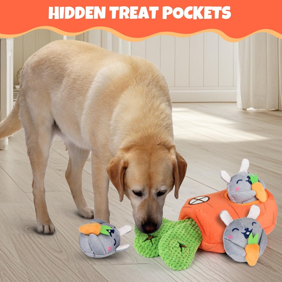 Globright Hide and Seek Squeaky Dog Plush Toy Carrot and Bunny Set, 4