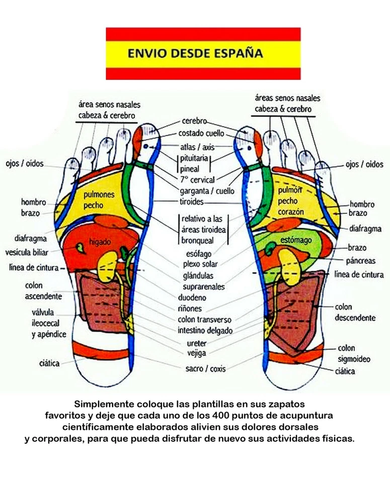 PLANTILLAS DÍGITO PUNTURA ACCIÓN MAGNÉTICA PIES PLANOS METABOLISMO CIRCULACIÓN - Imagen 2 de 4