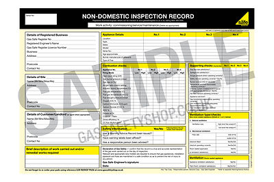 Gas Safe - Inspektionsprotokoll ohne Haus - pad6