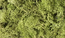 Woodland Scenics ~ New 2025 ~ Lichen ~ Light Green ~ 86.6 Cubic Inches ~ L162