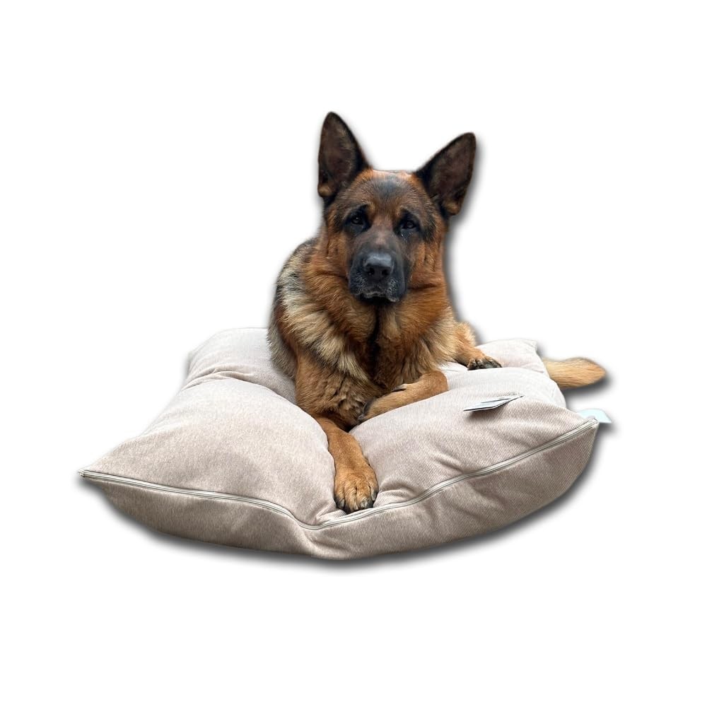 Cuccia Cane Interno Dorian Home: Cuscino Morbido e Resistente Lavabile