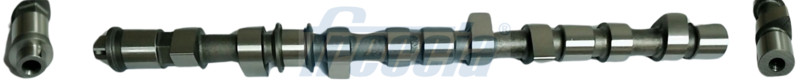 FRECCIA CM05-2319 Camshaft Fits Nissan Elgrand Cabstar Terrano MK2 Nt400 Cabstar