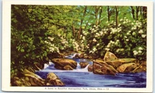 Postcard - A Scene in Beautiful Metropolitan Park - Akron, Ohio