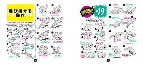 Lorenzo's Drawing Tutorial vol.4 - Imagen 4 de 13