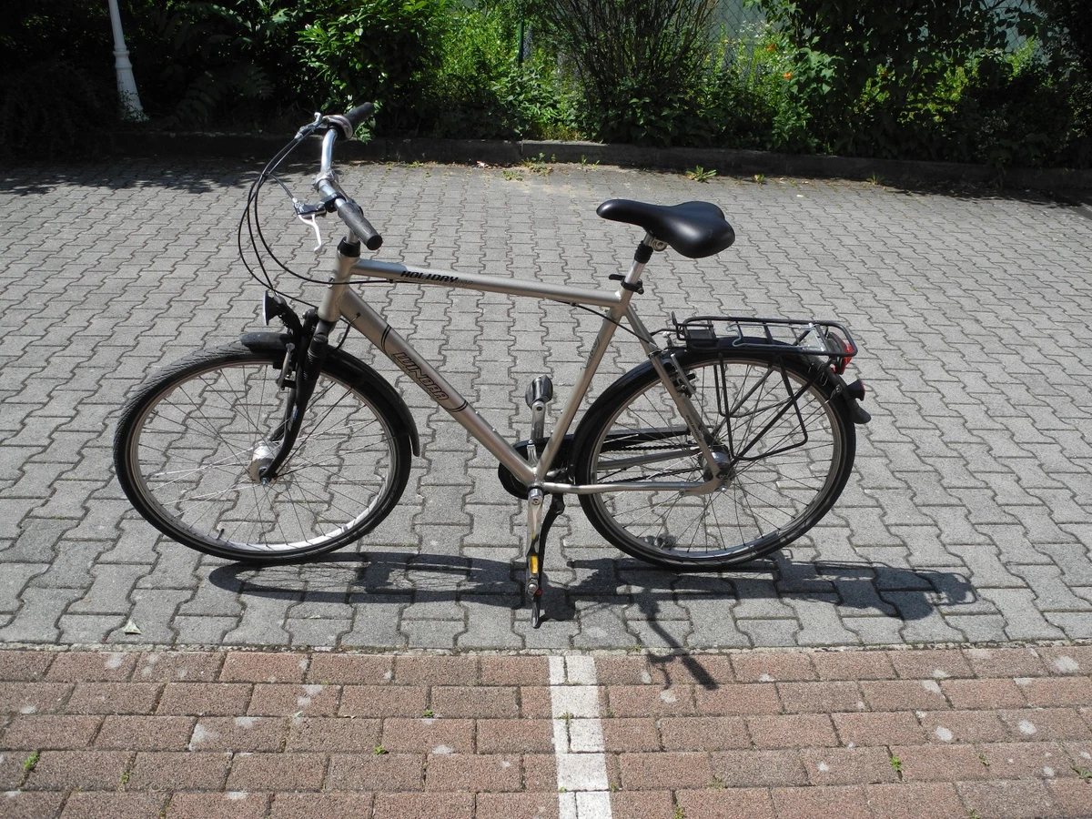 fahrradträger anhängerkupplung e bike fully E-Bike für die – OWEN Design Aufbewahrungs Behälter bei Farbe:coconut keys