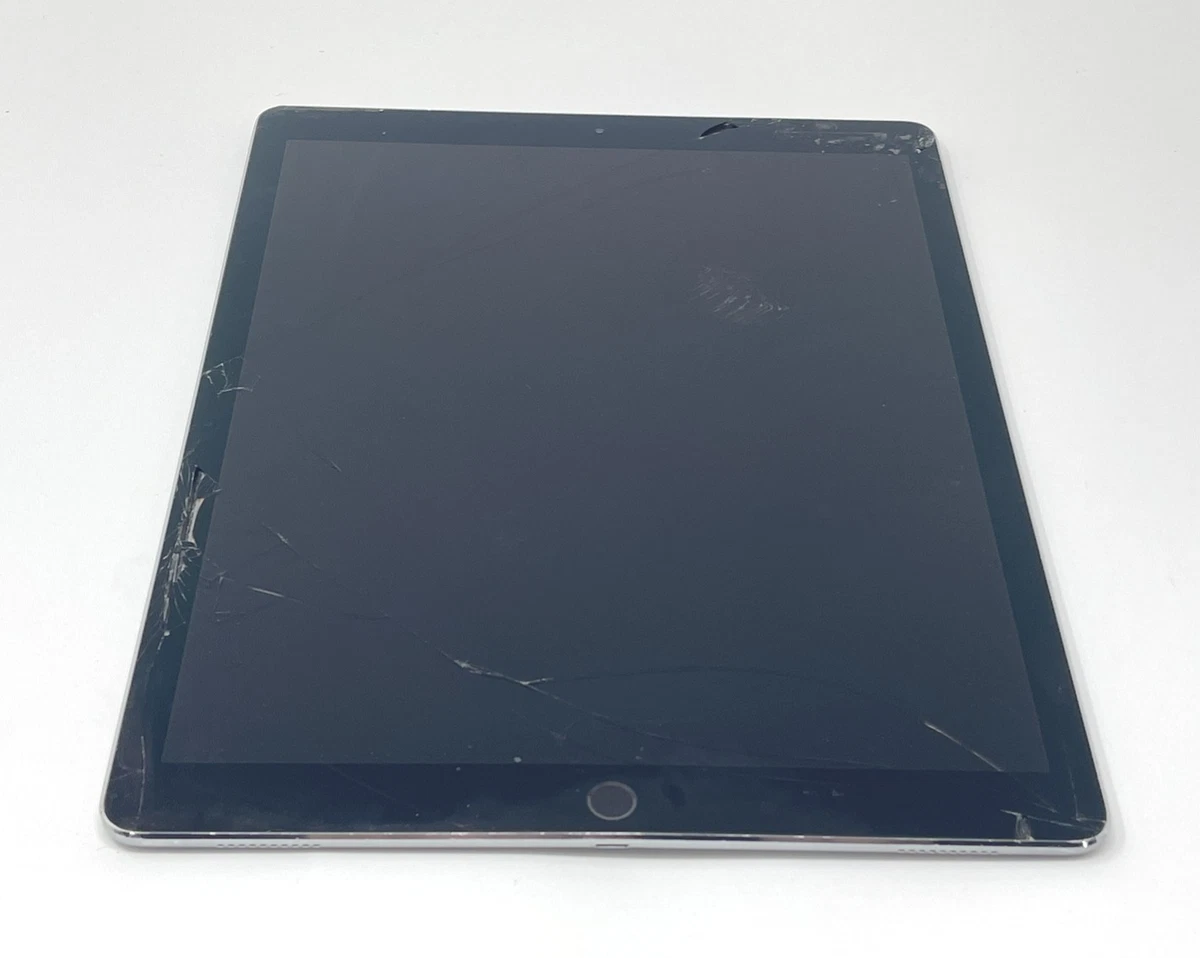 Apple iPad Pro(第2 代)256 GB 平板电脑| eBay