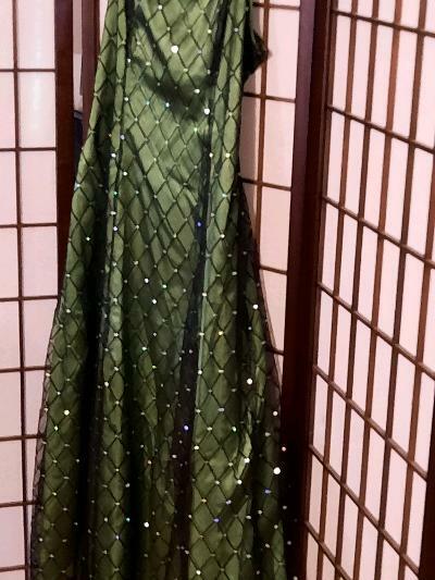 dressbarn green dress DressBarn Collection: Green with black net overlay; Size 4
