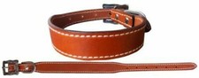 Showman Couture Medium Oil Genuine Leather 1" Adjustable Dog Collar