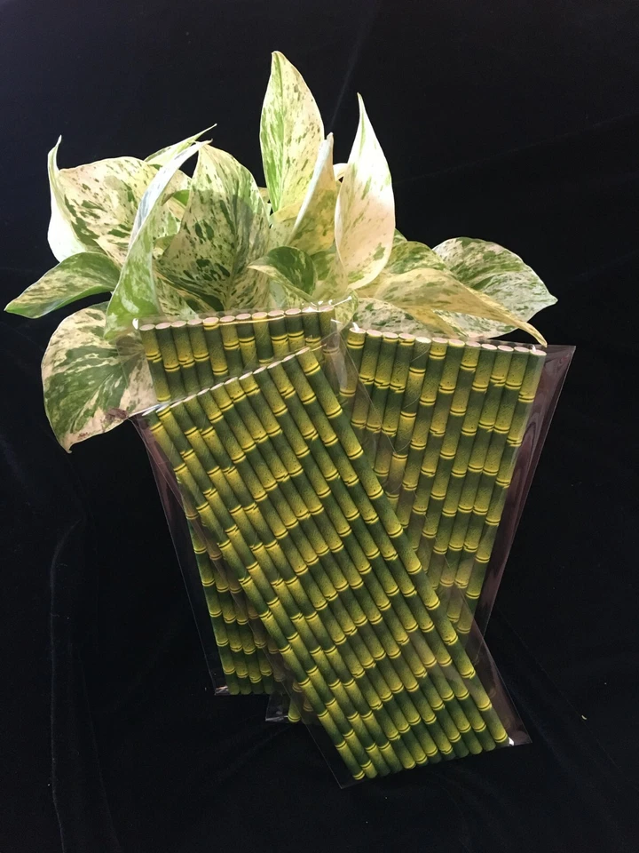 PAJITAS DE PAPEL DE BAMBÚ 24pk Kikkerland Foto 2 de 2