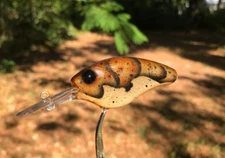 SPEEDBAITS Custom Airbrushed Evergreen Combat Crank CLONE Crankbait 