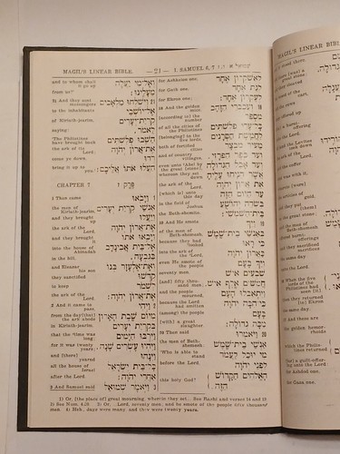 Joseph Magil's LINEAR School Bible 1903 1st Edition I SAMUEL Yiddish Teachers - Picture 4 of 7