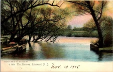 Lakewood New Jersey the Narrows Lake Carasaljo © 1905 Rotograph Postcard   31253