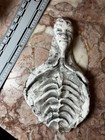 Strange Alien Skeletal Skeleton Rib Ceramic Artifact — photo 2
