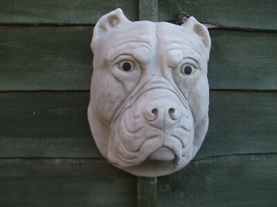GROSSER STEINSTOCK CORSO PITBULL TYP HUND HUNDE KOPF WANDBEHANG GARTEN SKULPTUR