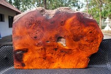 Gold Amboyna BURL LUMBER Live Edge Wood DIY Table Top Epoxy Resin Natural Slab