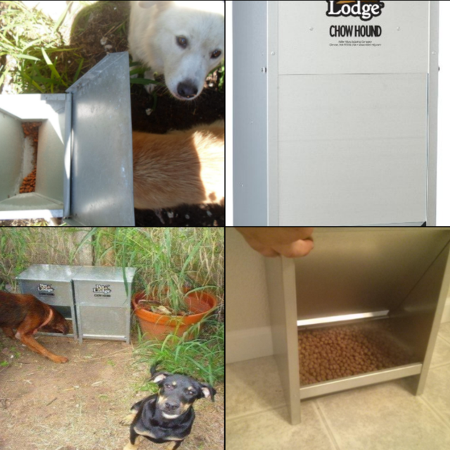 Miller CH25 Little Giant 25lb Chow Hound Galvanized Steel Dog Feeder