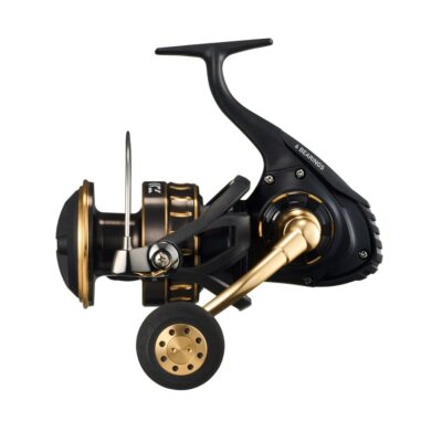 Daiwa 23 BG SW 18000 Spinning Reel Fishing for sale online | eBay