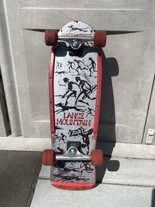 Vintage Powell Peralta | eBay