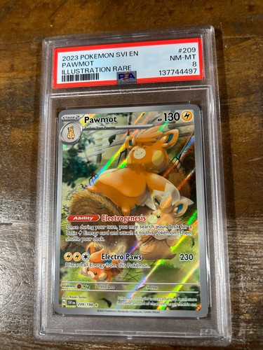 Pawmot graded PSA 8 for sale on eBay
