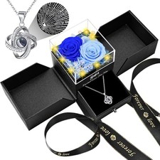 2 Preserved Rose Gift for Women - Eternal Rose with I Love You Necklace - Blue