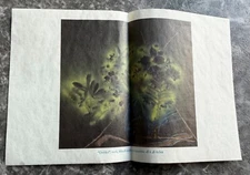 PER KIRKEBY 2024 Gallery Exhibit ART Piece "PAINTINGS ON MASONITE AND BRONZES"