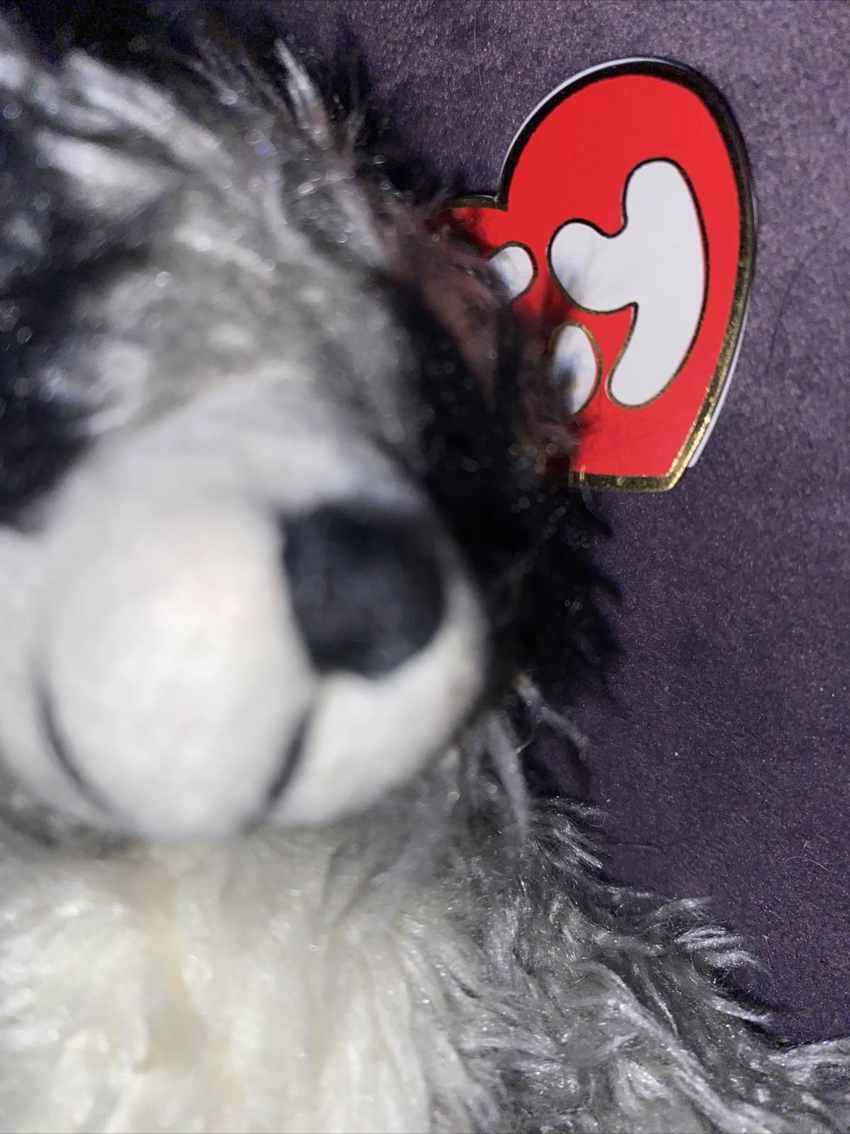 Bild 2 von 2