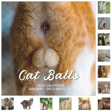 Gag Gifts - Calendar 2026, White Elephant Gifts, 2026 Calendar, 2026 Wall Cal...