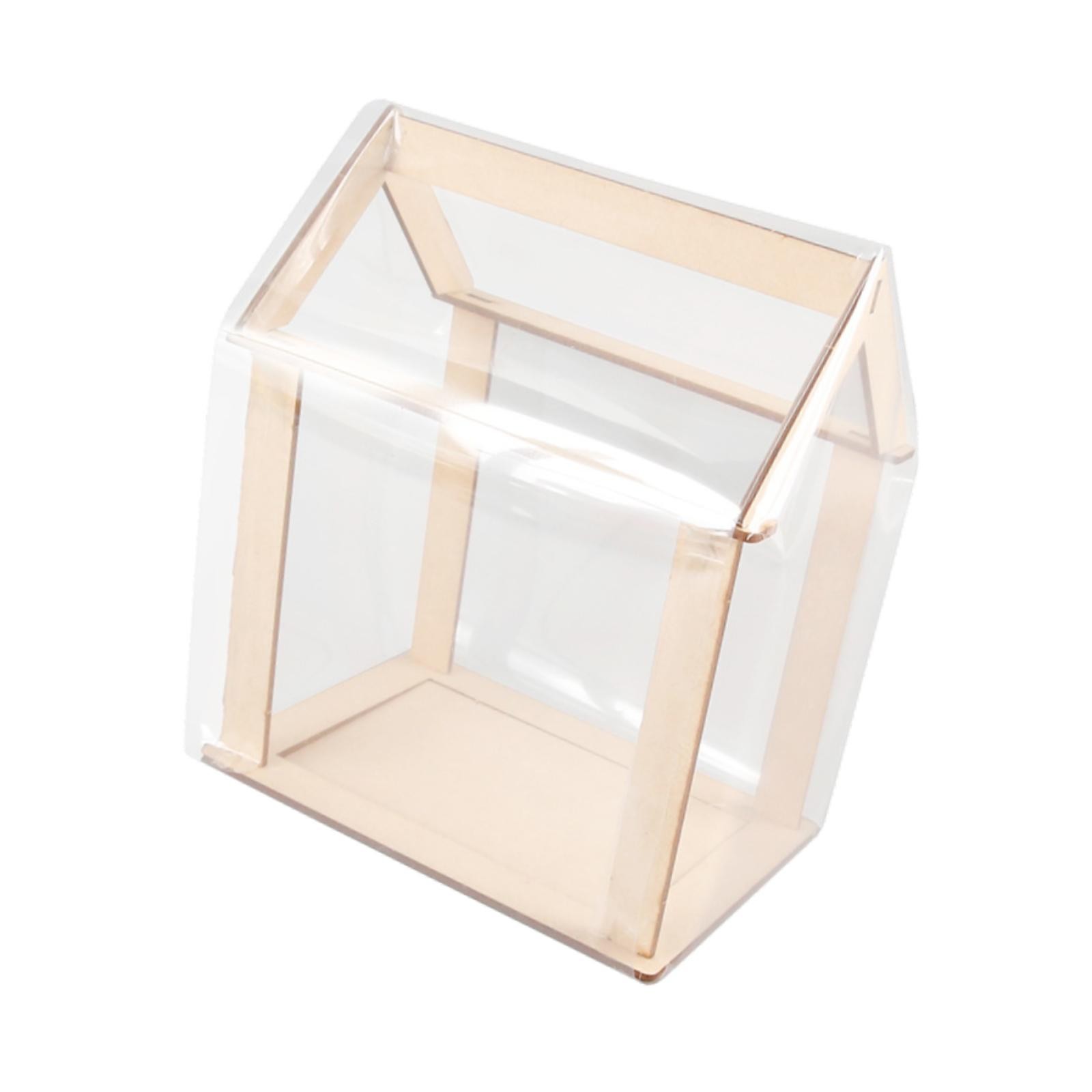 DIY Mini Greenhouse Model Kit Development Compact Party Supplies Science Toy