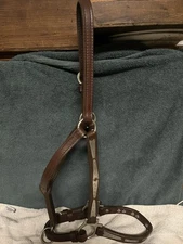 Western Silver Leather Show Halter