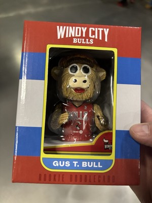 New Boxed Gus T Bull BobbleCard(head): From The Windy City Bulls' 1/3/2026 Game