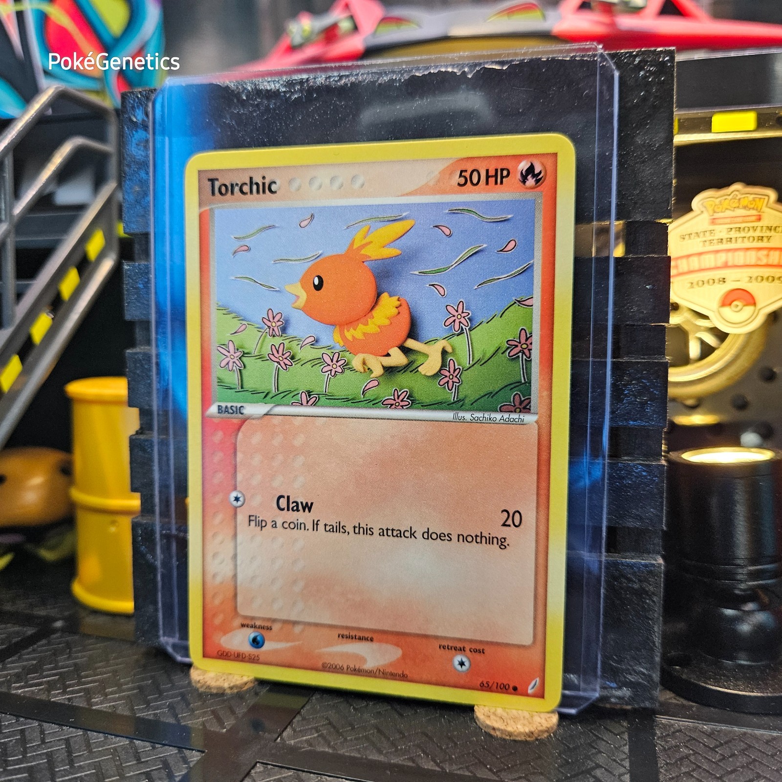 Torchic Crystal Guardians Ex Pokémon TCG 65/100 Common
