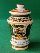 VASO VASETTO SPEZIALE ALBARELLO FARMACIA DRACUNCULUS ART COLLECTION TOGNANA.CT98