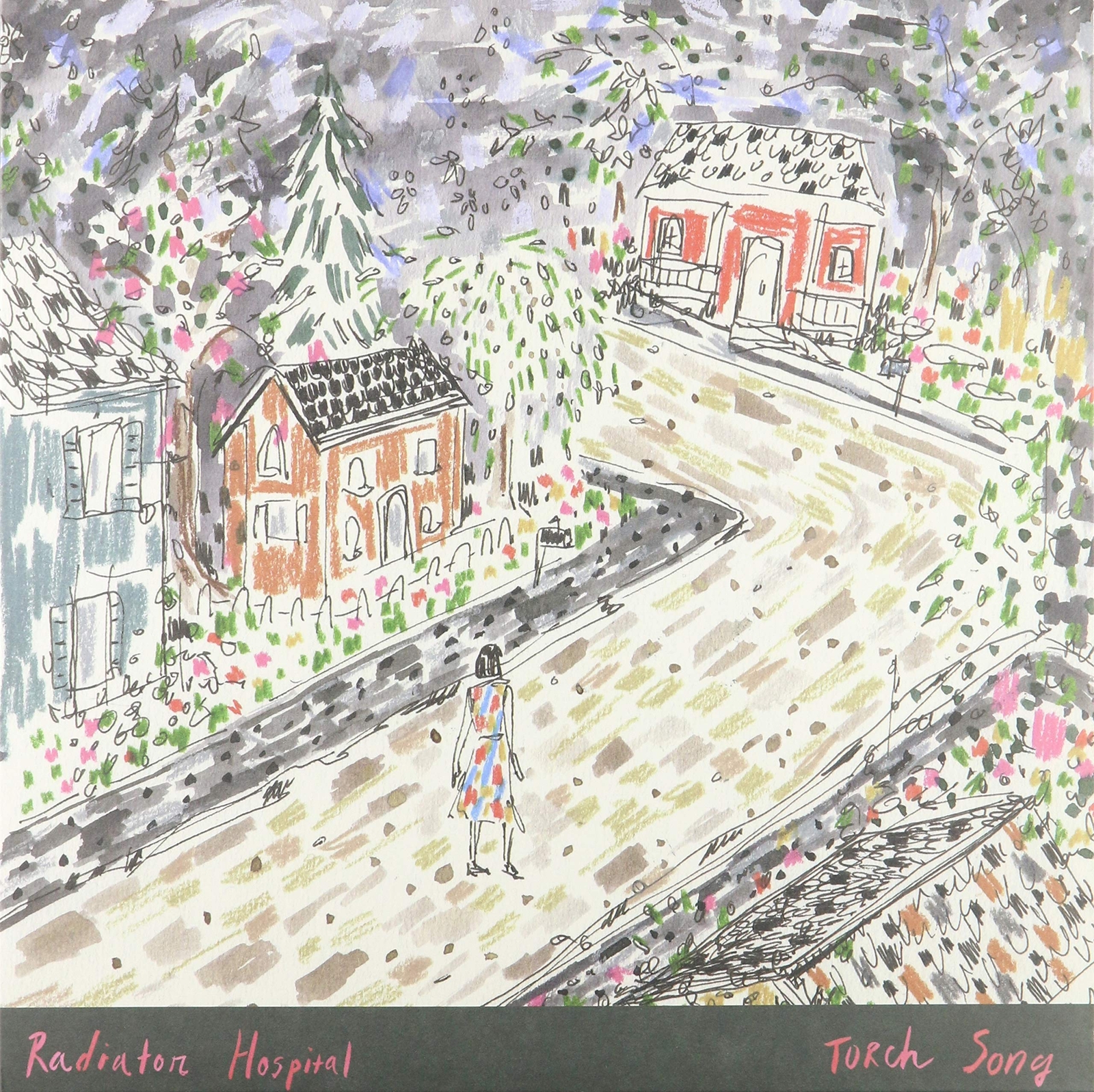 Radiator Hospital Torch Song (Vinyl LP)