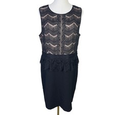 Ann Taylor Loft Lace Knee Length Cocktail Dress US Women's 14 Plus