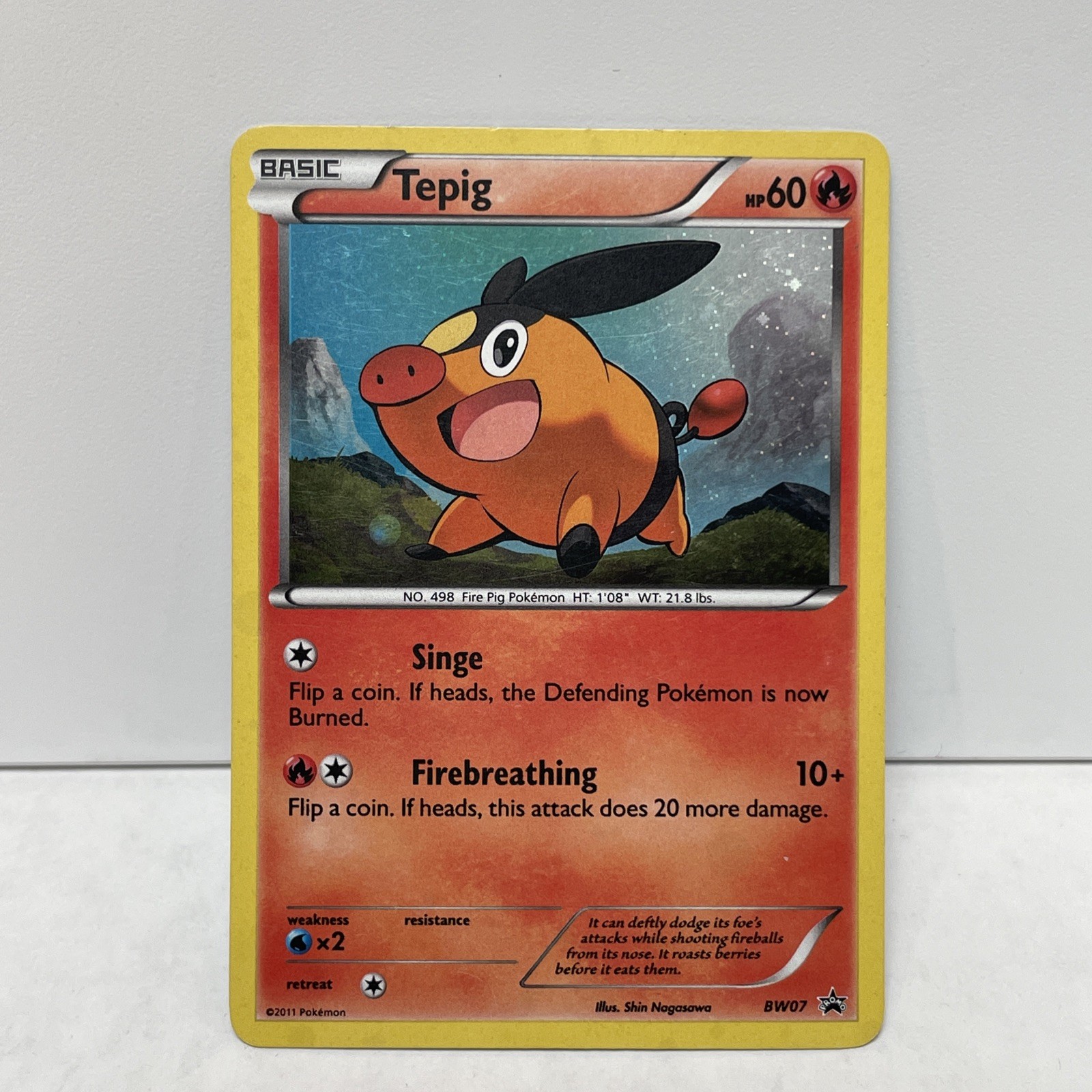 Pokemon TCG Tepig BW07 Black & White Holo Black Star Promo Card 2011 (MP)