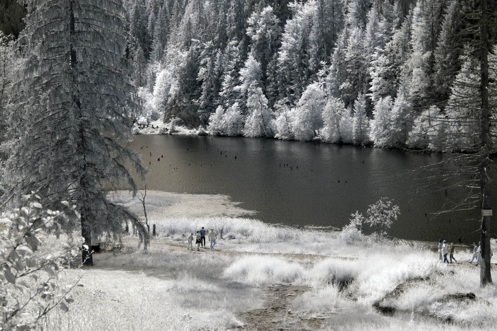 Bild 11 von 16