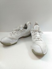 lebron 14 low white ice