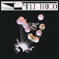 Melt Trio - Consumer - Vinyl Record 12 Inch Record - G3Z