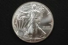 NobleSpirit (LG) Superb Gem BU 2017 American Silver Eagle .999 1oz