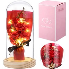Valentine's Day Gift Preserved Flowers Forever Fresh Rose Red for Her Art